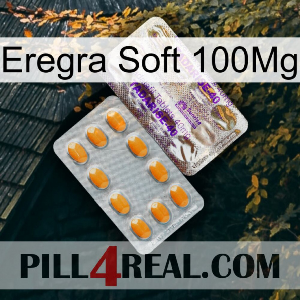 Eregra Soft 100Mg new12.jpg